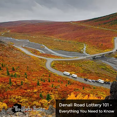 Denali Road Lottery 101