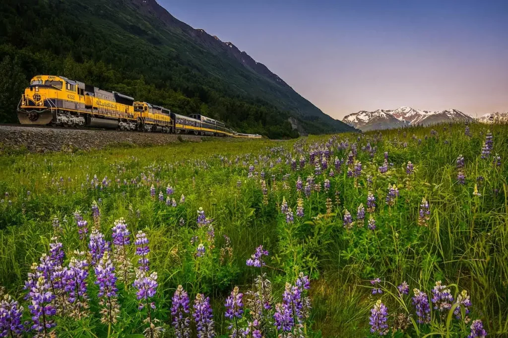 Alaska Railroad Day Trip From Anchorage