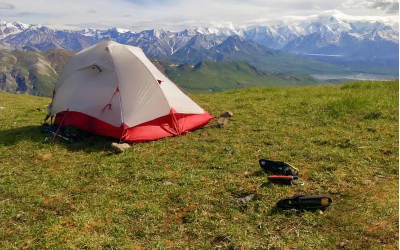 Camping-in-Denali-National-Park-Alaska