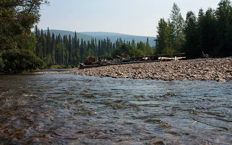 Chena-River-Camping-Spots-in-Fairbanks-Alaska