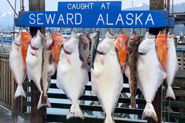Fishing-in-Seward-Alaska