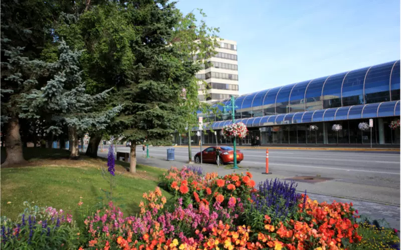 Flowers-Seen-In-Town-Square-Municipal-Park-in-Anchorage