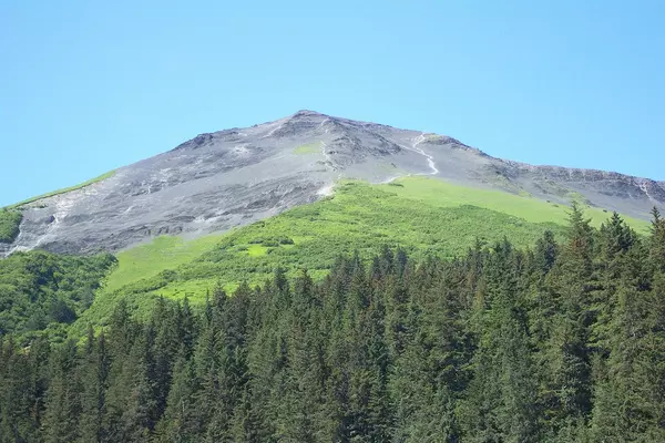 Mt-Marathon-Race-in-Seward-Alaska