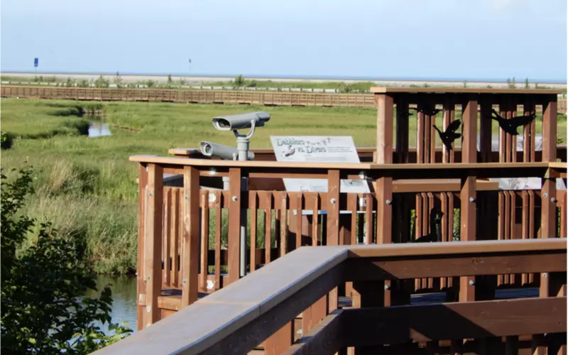 Potters-Marsh-Bird-Sanctuary-Near-Anchorage