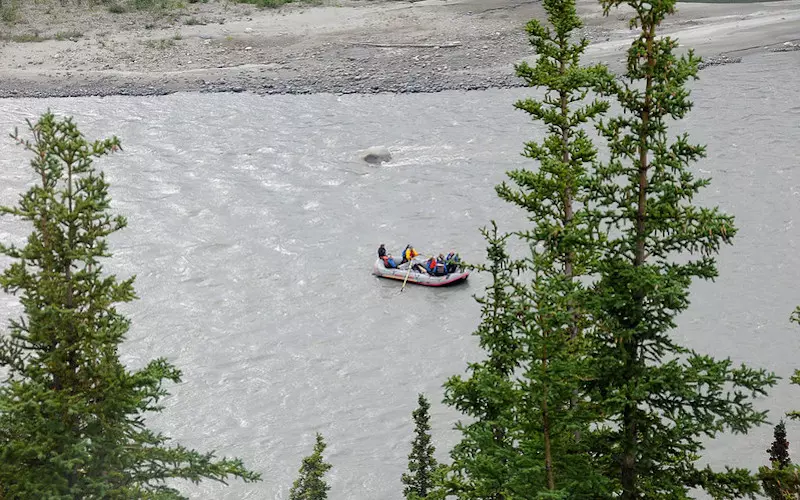 River-Rafting-in-Denali-National-Park