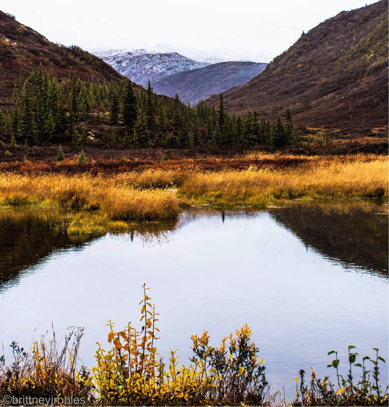 Savage River while driving the Denali Road Lottery by Brittney Robles