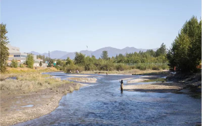 Ship-Creek-Salmon-Viewing-Anchorage