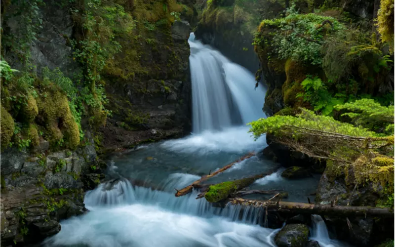 Virgin-Creek-Falls-Trail-Near-Anchorage