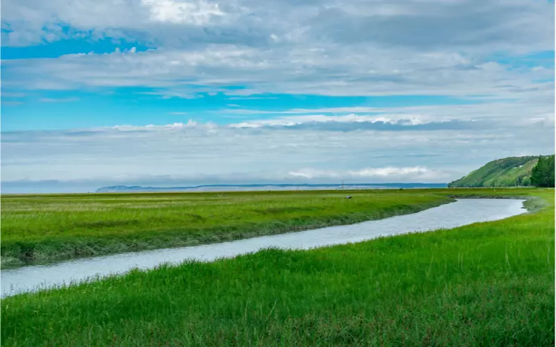 Walking-At-Campbell-Creek-Near-Anchorage