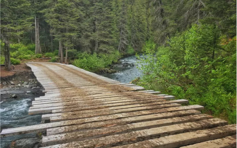 Winner-Creek-Trail-Hike