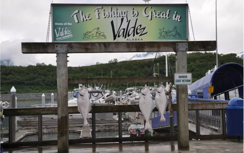 Go-Fishing-in-Valdez-Alaska