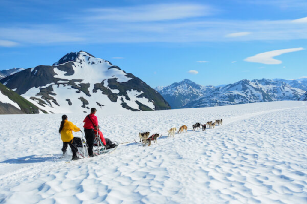 Alpine Tour Alaska doglsledding in August