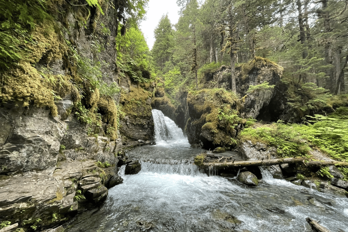 Soak In The Beauty Of Virgin Creek Falls In Girdwood
