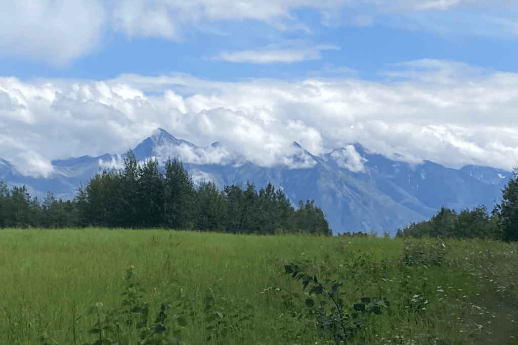 Crevasse Moraine Trail in Alaska