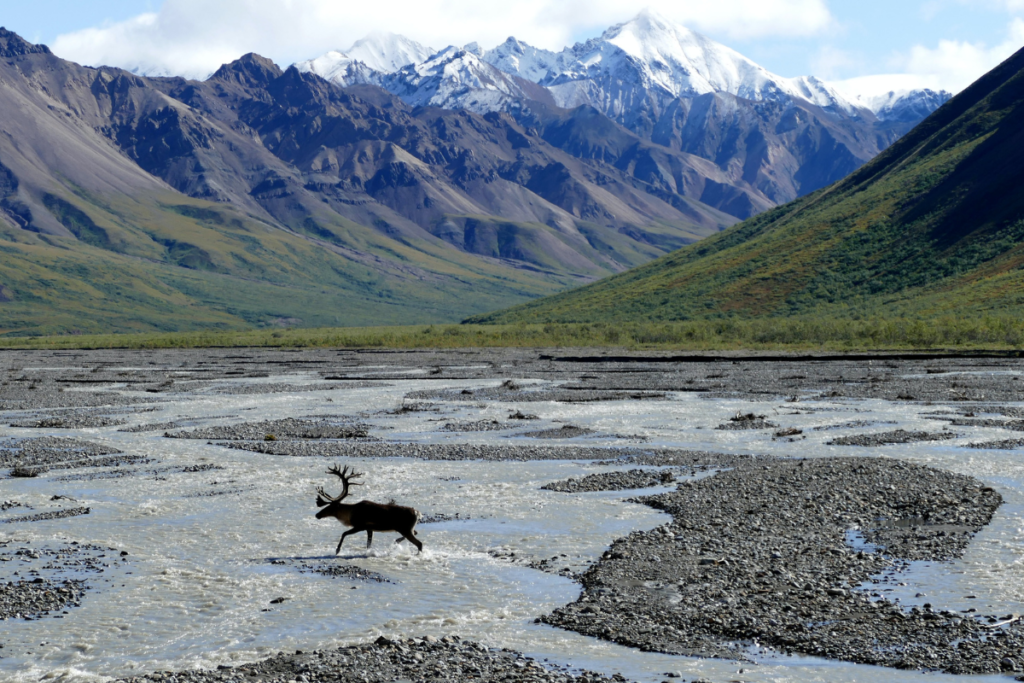 Denali National Park and Preserve in Alaska