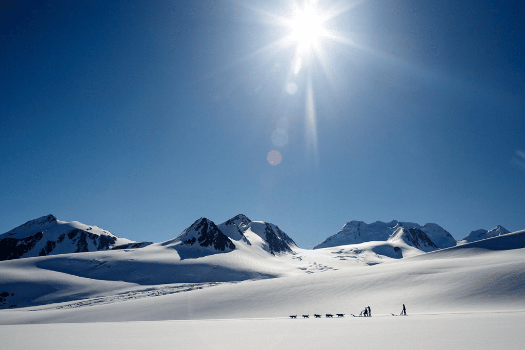 Dogsledding On A Glacier At Knik River Lodge