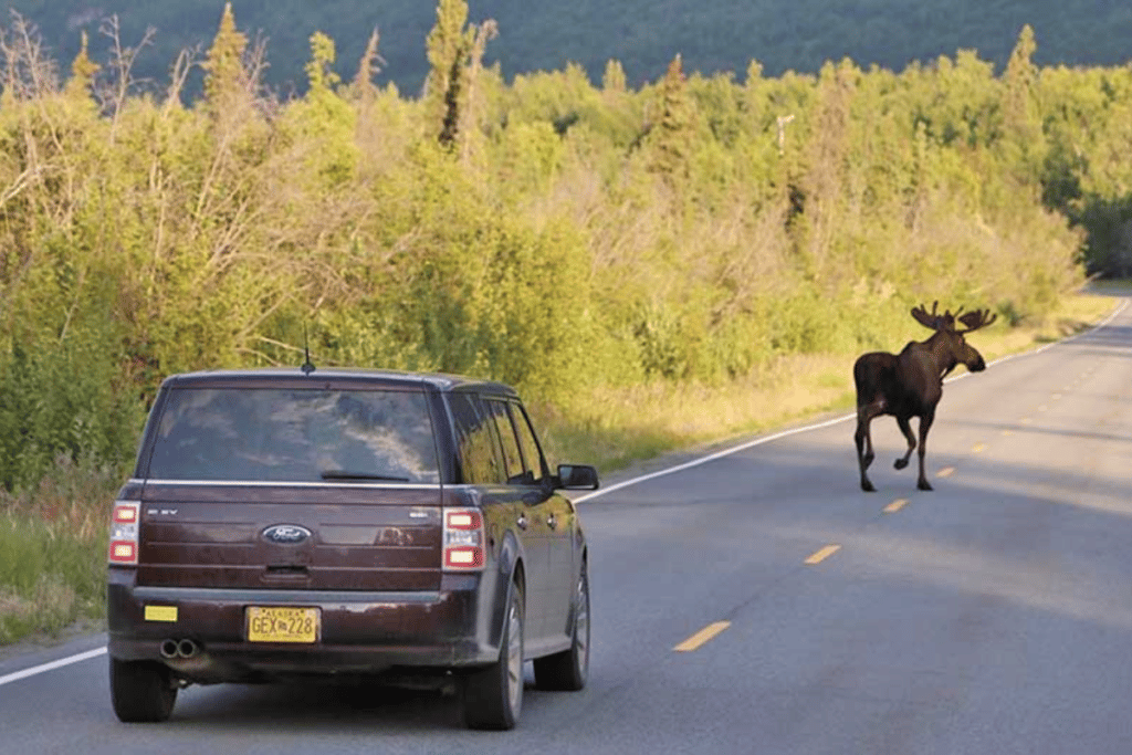 Driving To Knik River Lodge