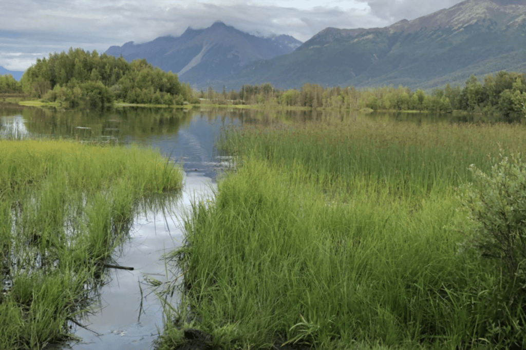 Matanuska and Kepler Lakes Trail in Alaska