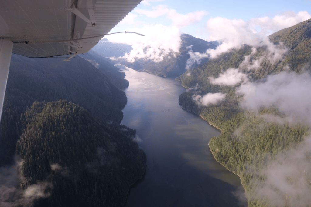 Moose may not be viewed from airplane in Alaska