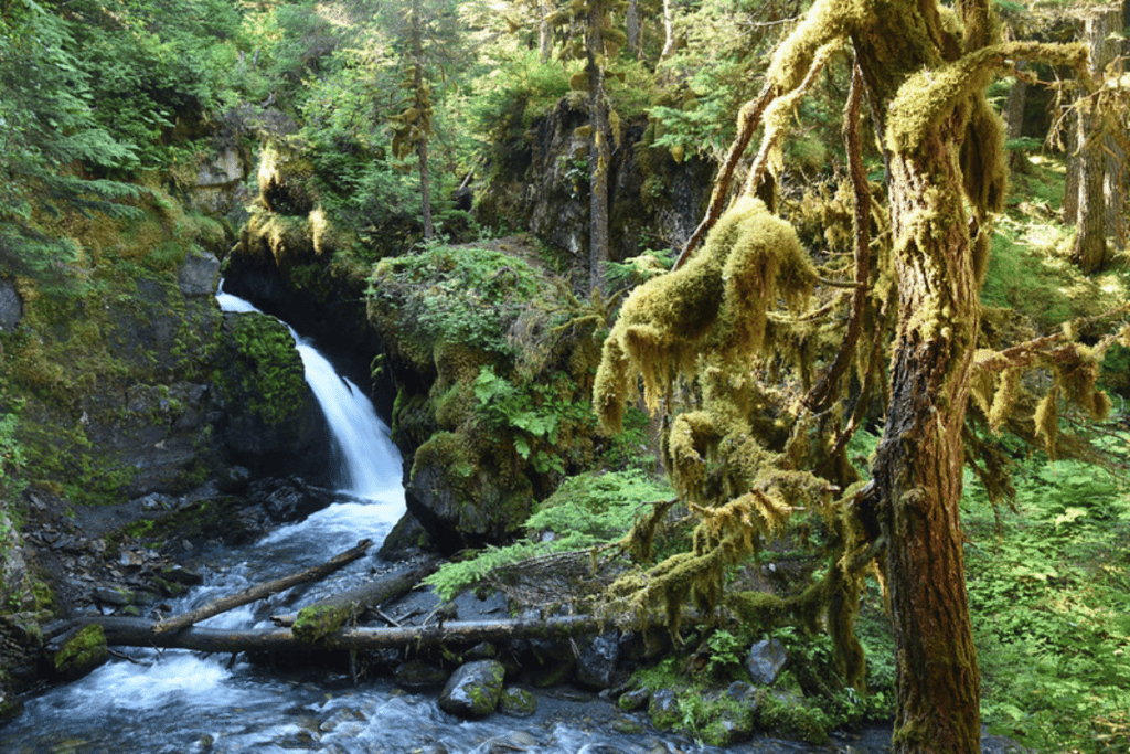 Virgin Creek Falls Hike Outside of Anchorage