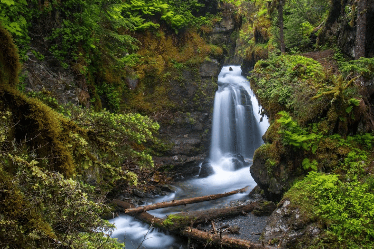 Soak In The Beauty Of Virgin Creek Falls In Girdwood