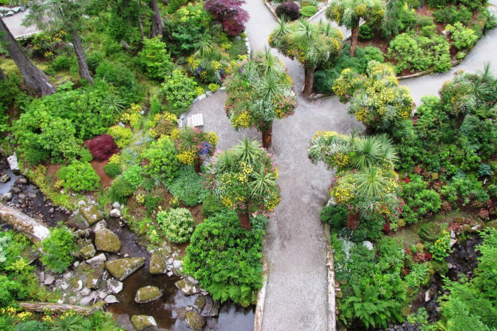 Aerial View of Upside Down Trees