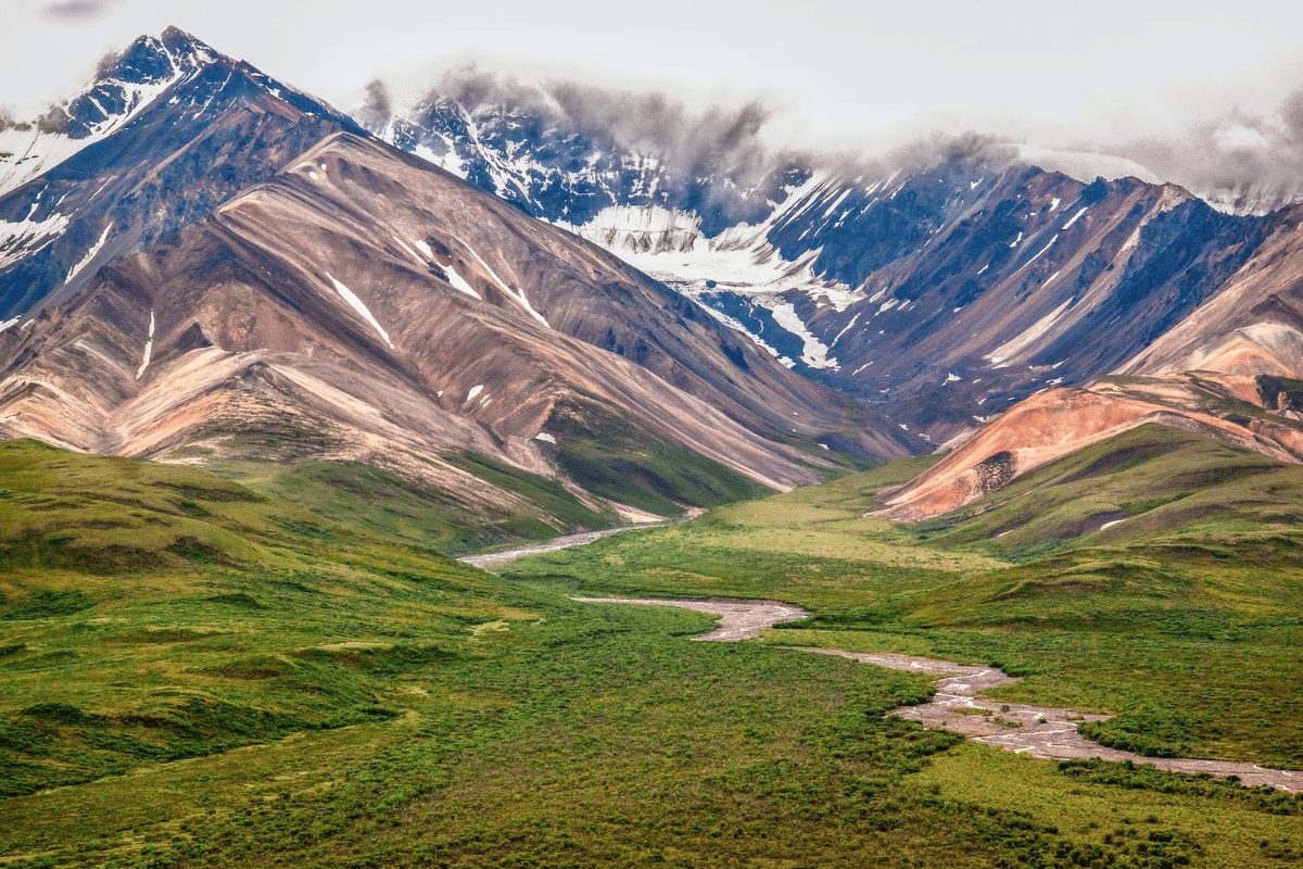 Escape to Wilderness: Teklanika River Campground, Your Gateway to Denali's Majesty