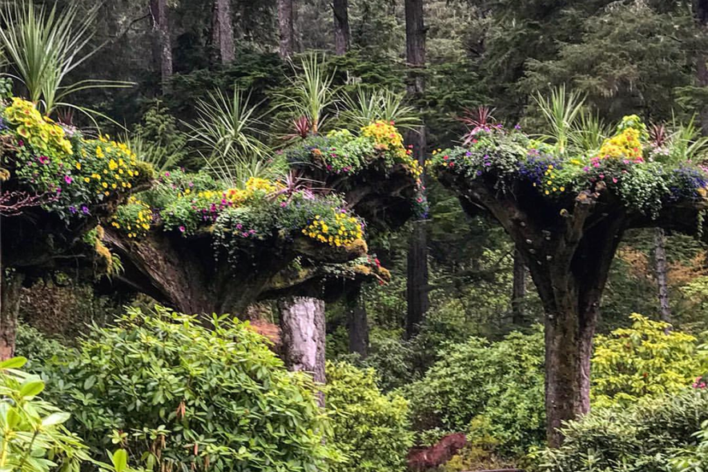 Glacier Gardens in Alaska