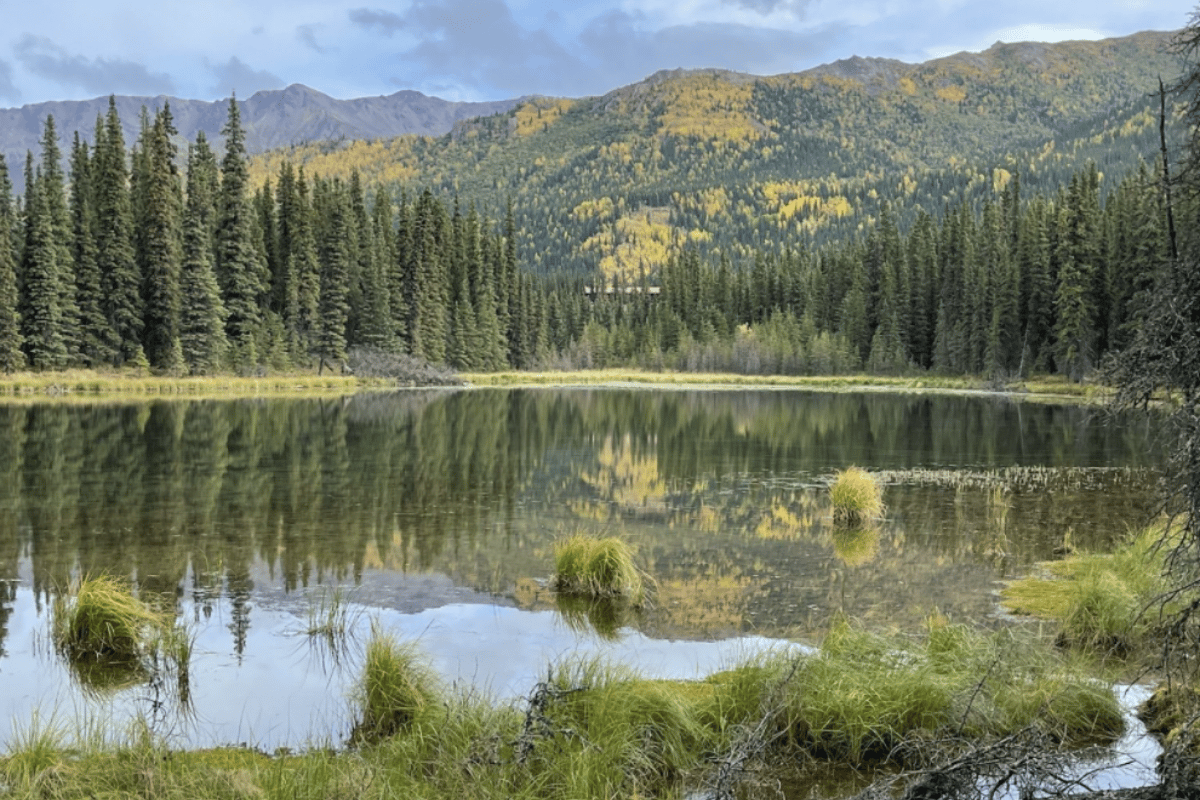 12 Hiking And Backpacking Trips In Denali National Park