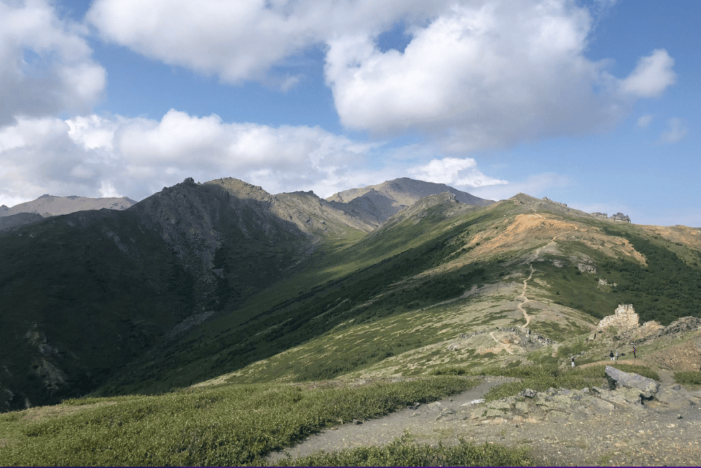 Mount Healy Overlook in DNP