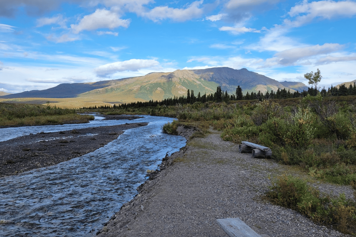 12 Hiking And Backpacking Trips In Denali National Park
