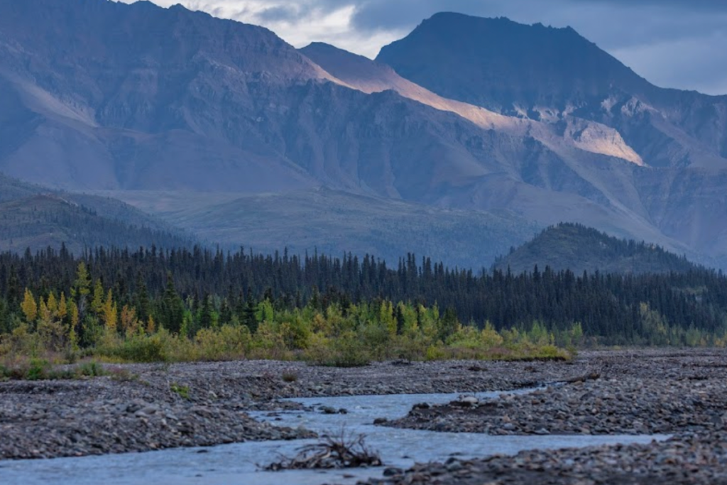 River view from Teklanika River Campground