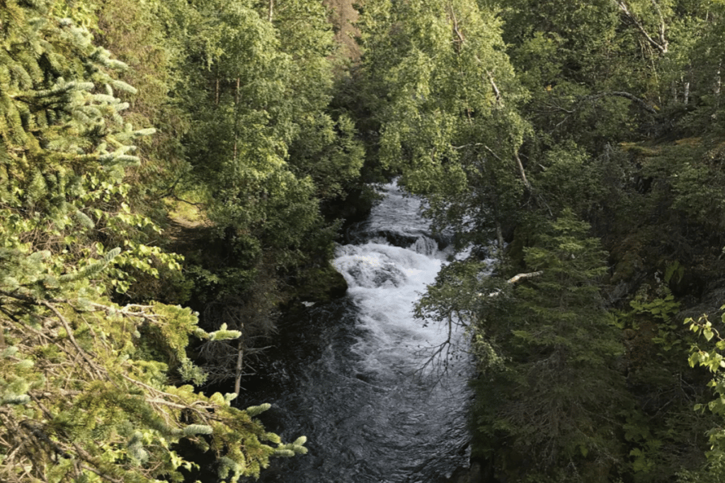 Russian River Falls in Alaska