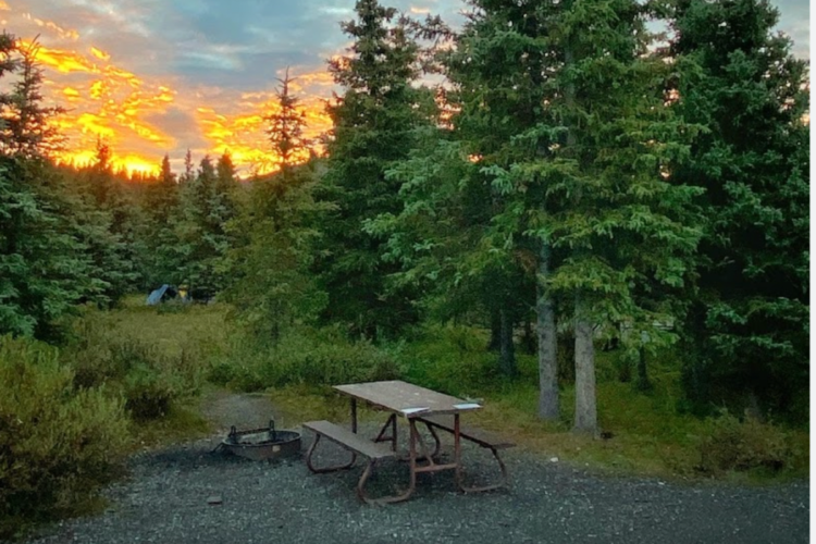 Escape To Wilderness: Teklanika River Campground, Your Gateway To Denali’s Majesty