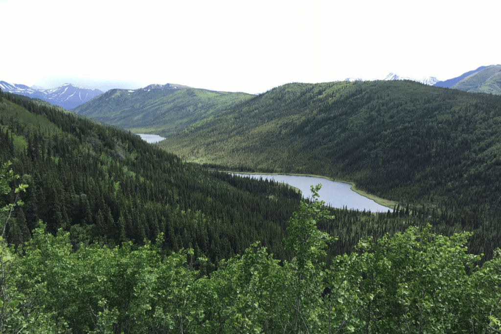 Triple Lakes Trail in DNP