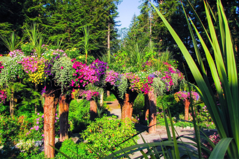 The Legend Of The Upside Down Trees (Forest) In Alaska