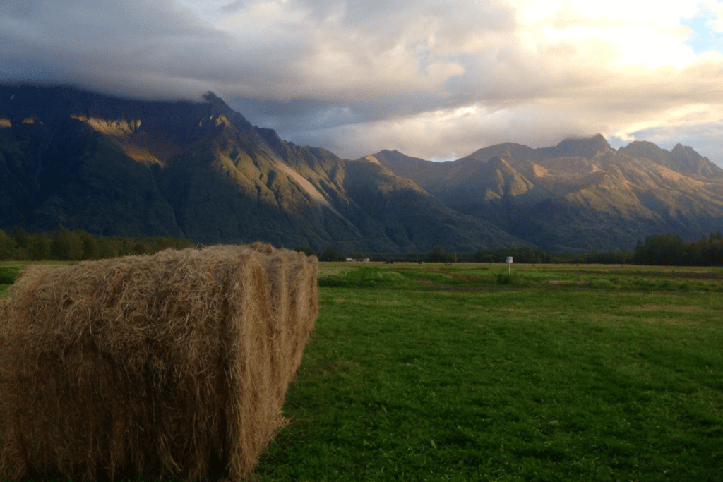 Pyrah's Pioneer Peak U-Pick Farm in Alaska