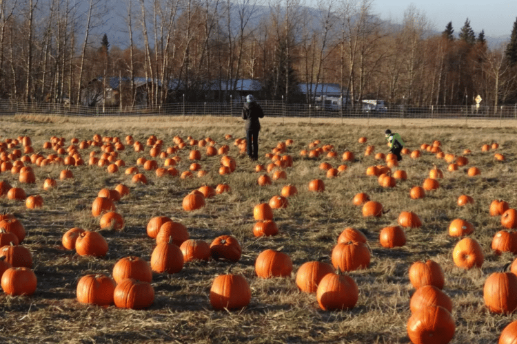 17 Things To Do In Alaska In October To Experience Fall