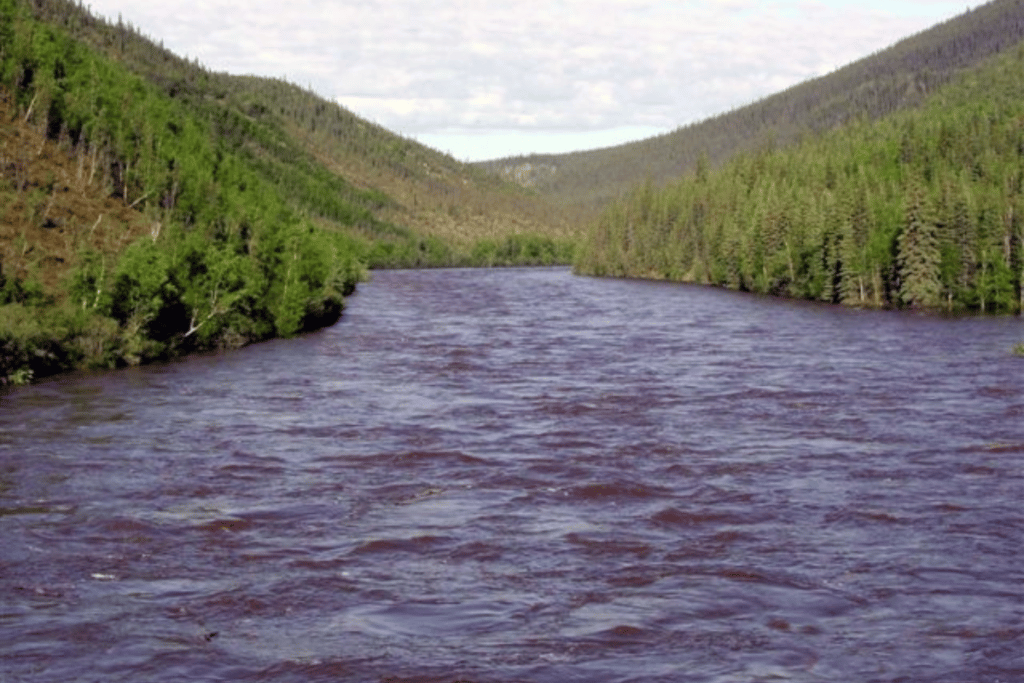 40 Mile River in Alaska