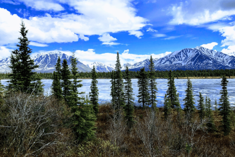 14 Things To Do In Talkeetna To Keep You Busy Exploring