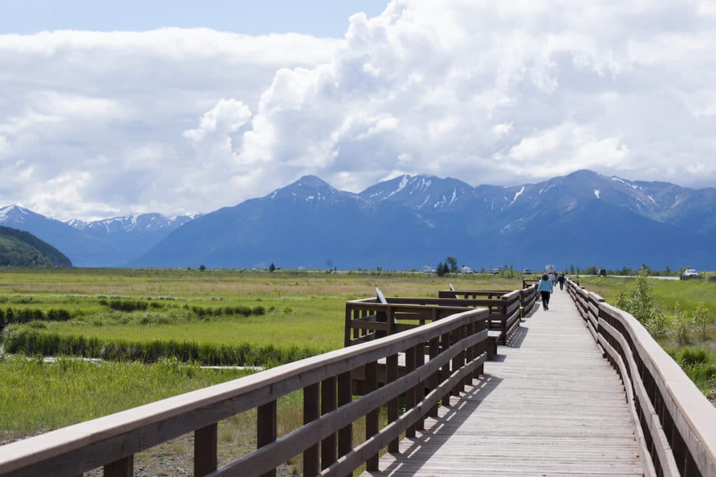 Potter Marsh Wildlife Refuge In Anchorage Alaska