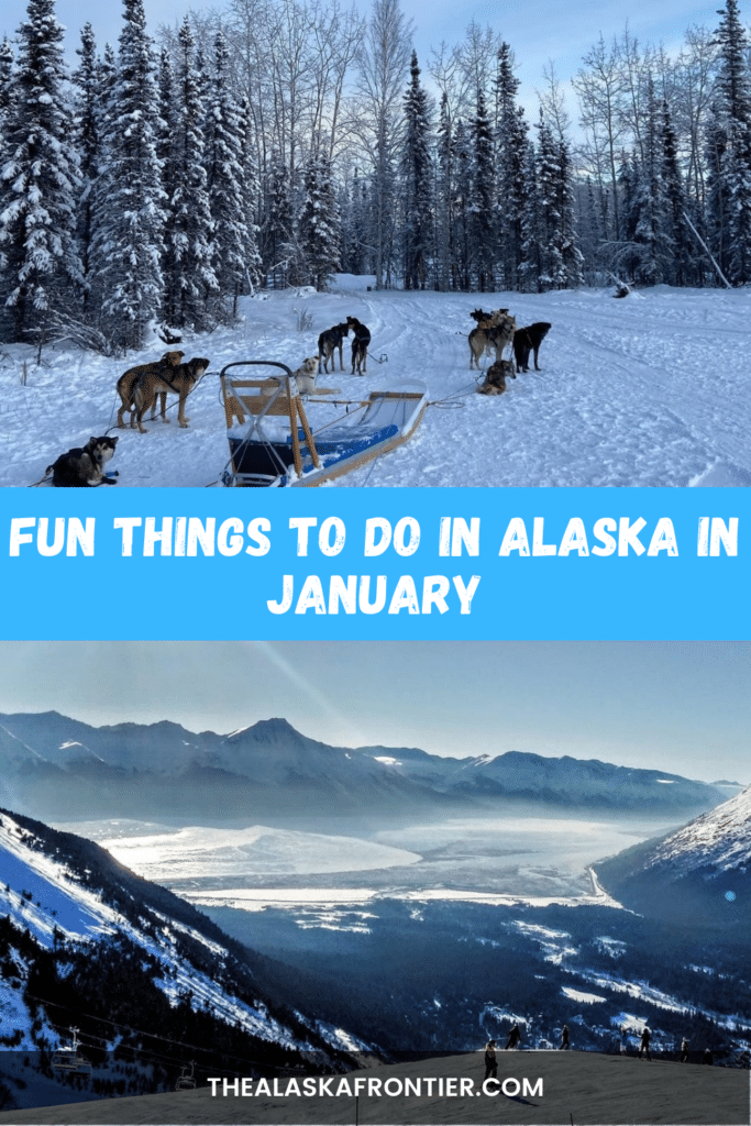 Things To Do In Alaska In January
