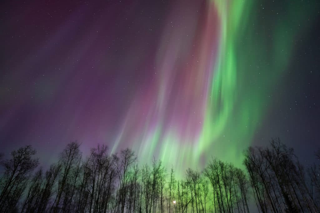 Watch the Northern Lights in Alaska in February