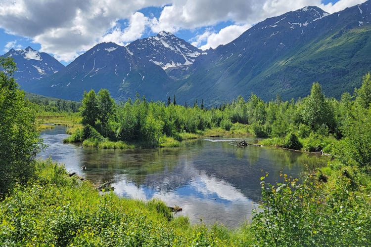 Anchorage To Denali | 13 Incredible Stops To Make On The Way