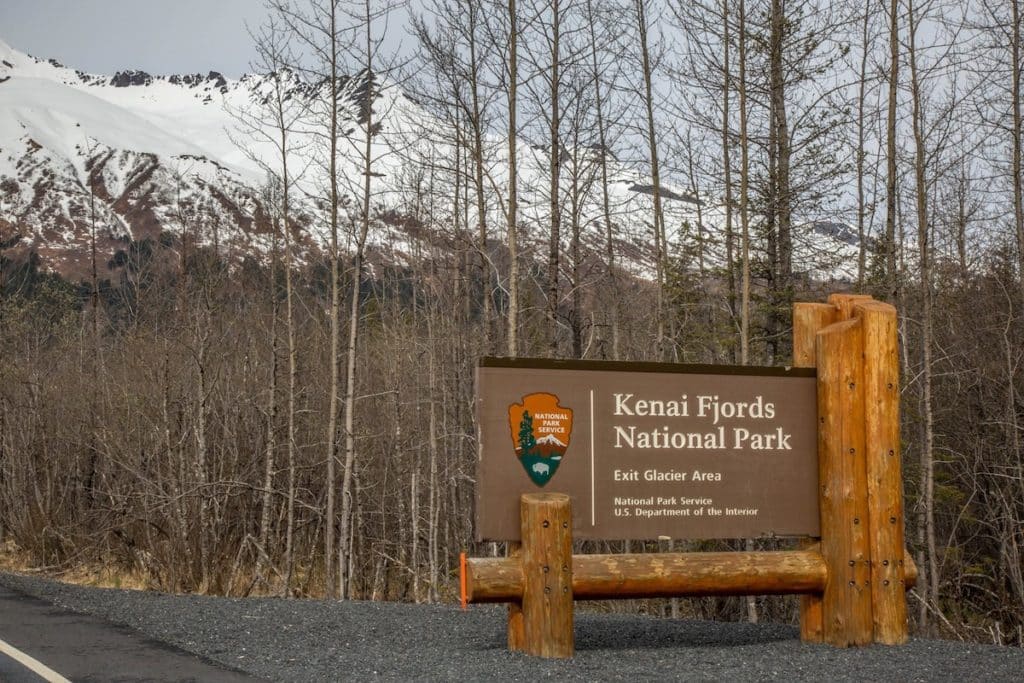 Exit Glacier Road Offers Free Camping Spots