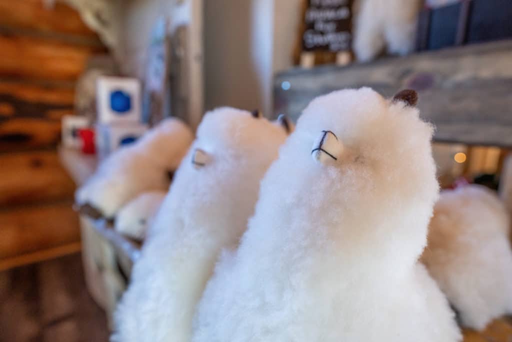 Alpaca Plushies Extra Fluffy At Williams Reindeer Farm
