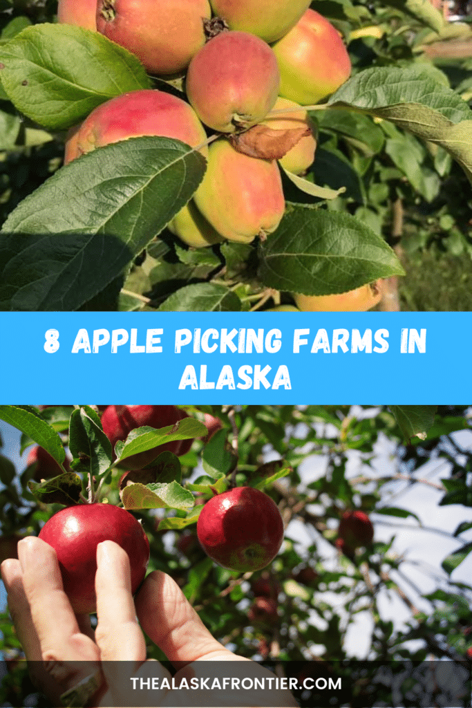 Apple Picking Farms In Alaska