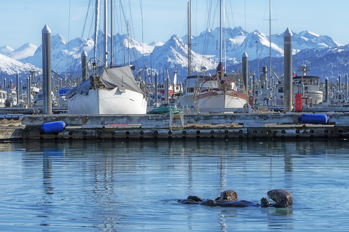 Anchorage To Homer 13 Scenic Places To Check Out