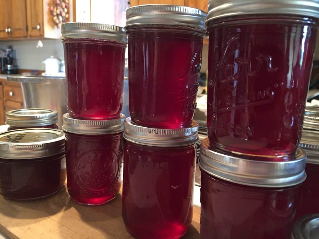 Fireweed jelly stored in jars