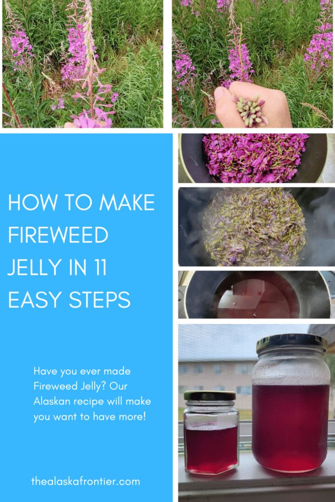 How I Made Fireweed Jelly From Alaska